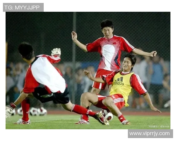 深圳排球队在世界杯中的团队协作表现令人瞩目展现出团结与拼搏精神