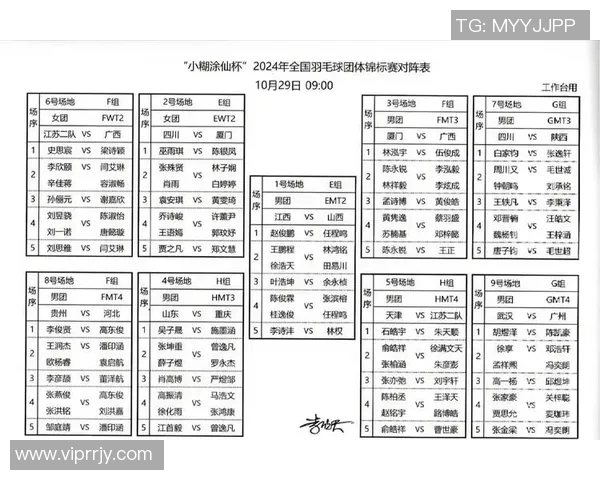 羽毛球力量排行榜揭晓北京羽毛球队荣获第八名佳绩