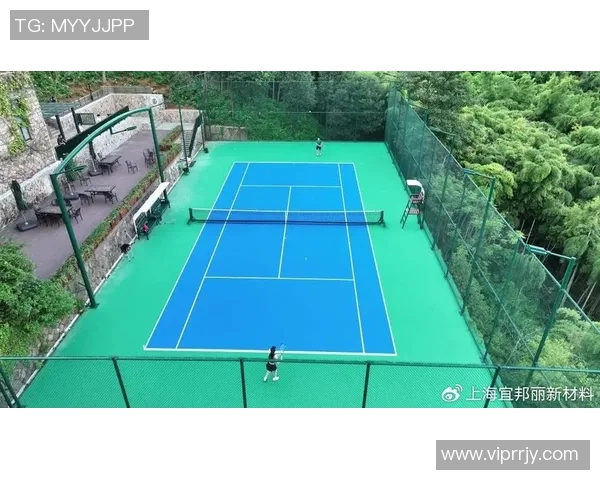 网球新手必看：从基础力量训练到实战技巧的全面指南