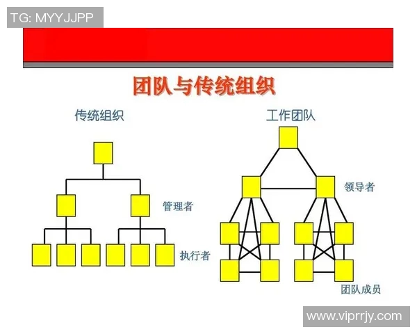 广州乒乓球队在联赛中的团队协作表现分析与启示