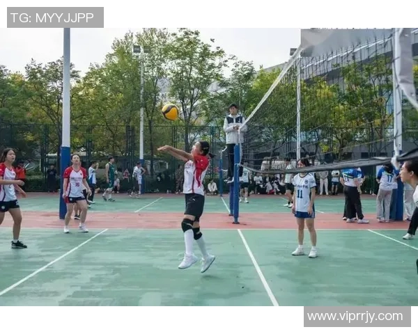 排球盛宴：深入了解杭州排球队的训练与比赛节奏