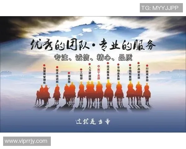 深圳排球队与重庆排球队的赛后复盘分析团队协作的关键因素与表现