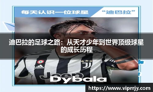 JN体育